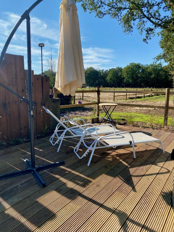 Luxe Finse Kota Met Jacuzzi En Saunabarrel De Zandhoef 埃尔瑟尔 外观 照片